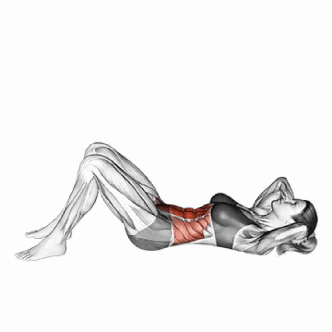 Muscles Worked During Sit-Up