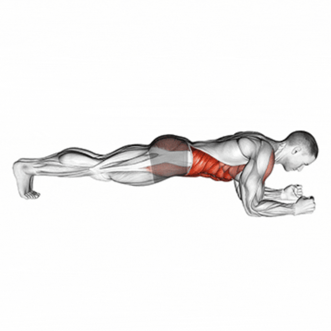 Front Plank