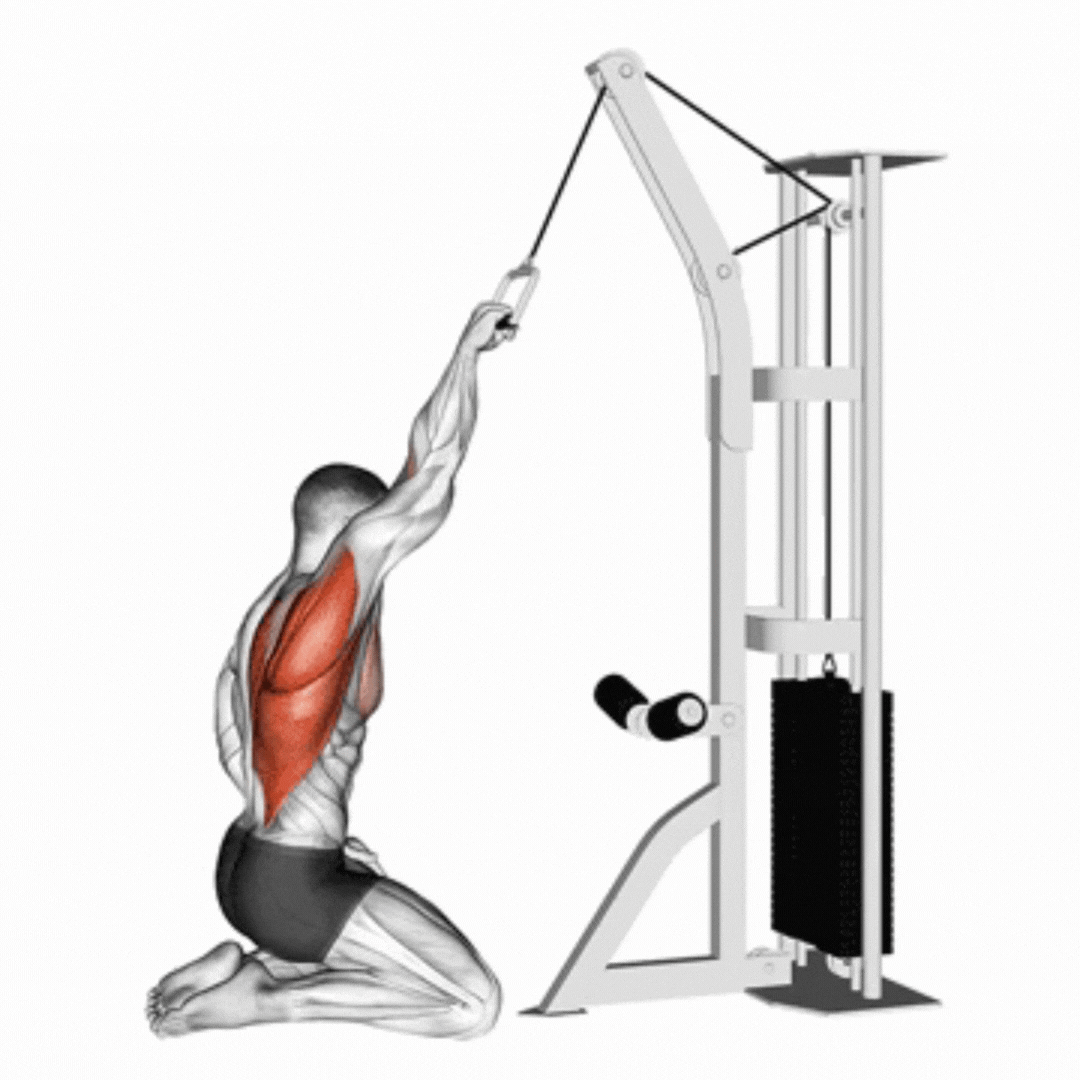 Kneeling Single Arm High Pulley Row