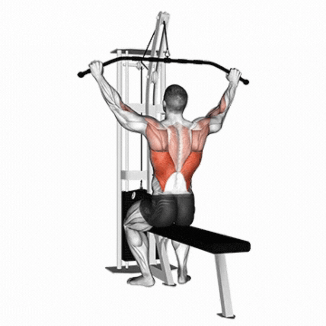 Lat Pulldown