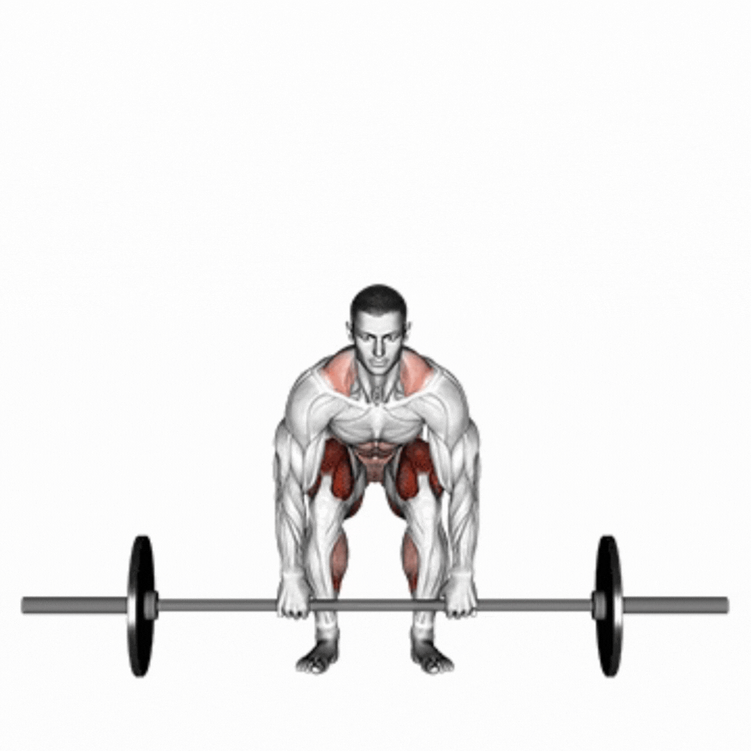 Barbell Deadlift