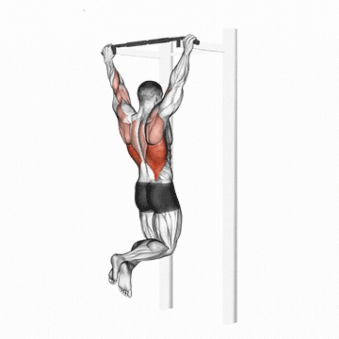 Pull-Up