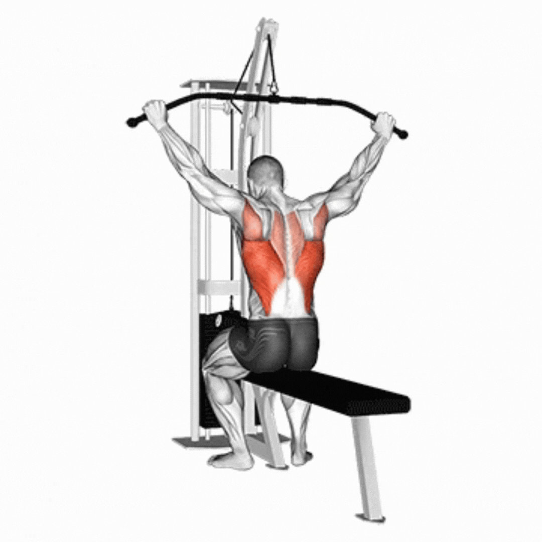 Behind Head Lat Pulldown