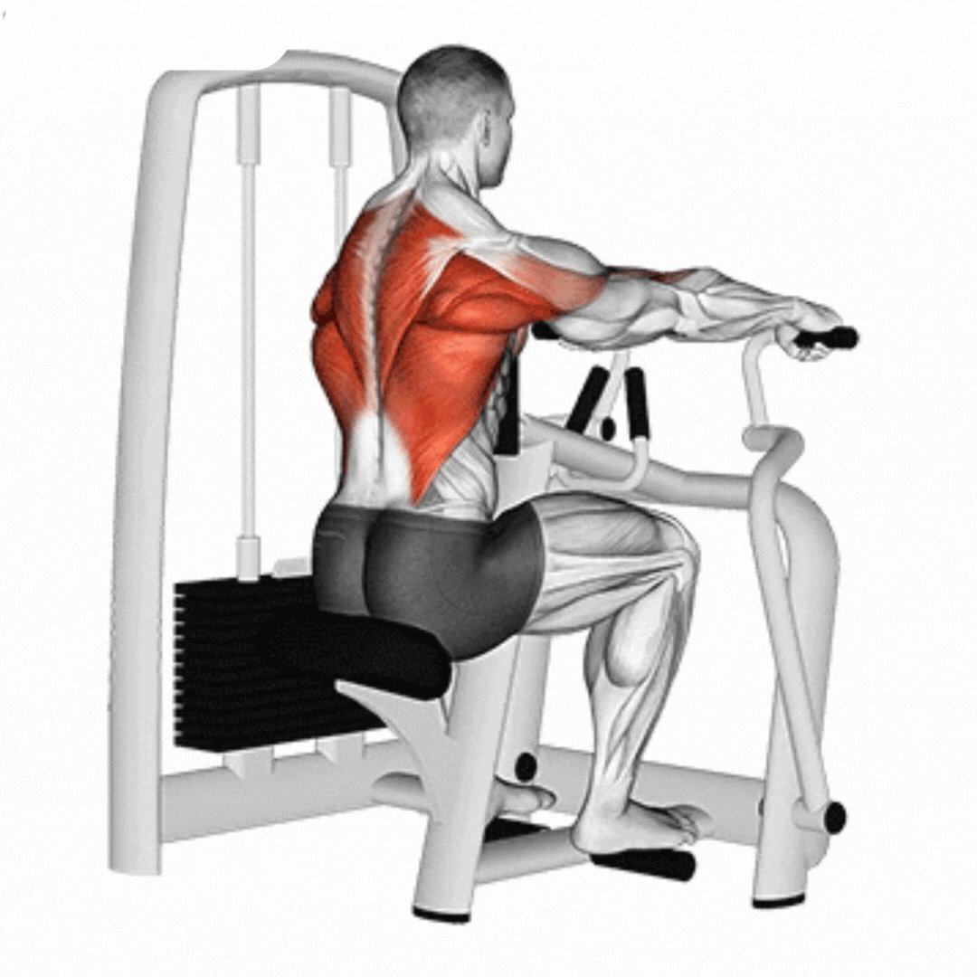 Seated Row Machine