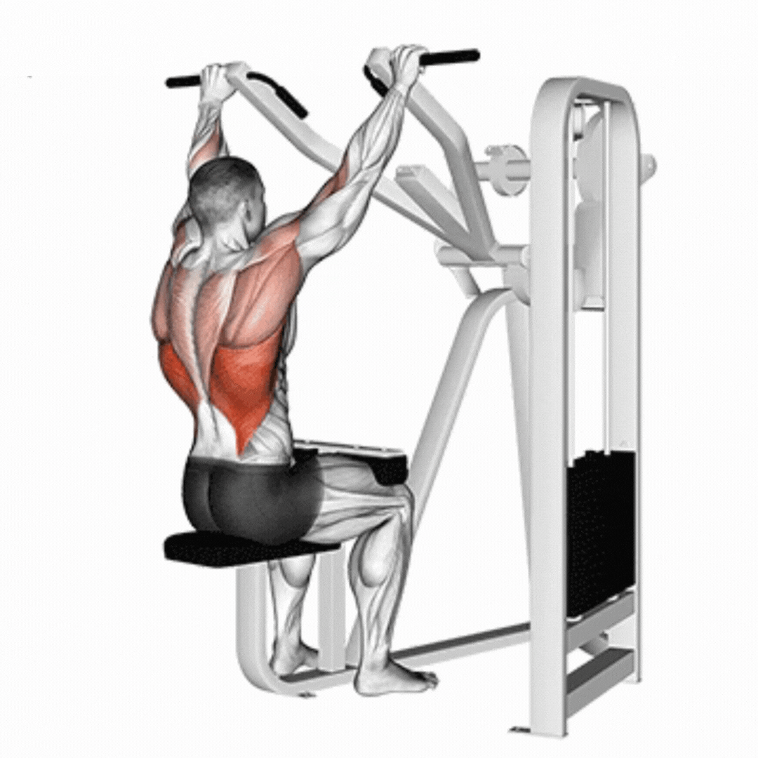 Lat Pulldown Machine