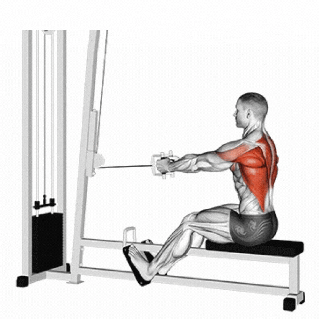 Seated Cable Row