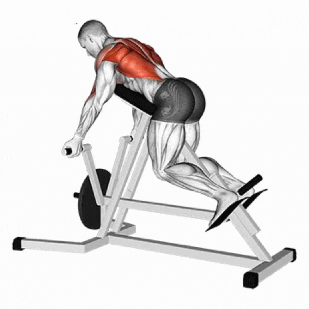 T-Bar Row Machine