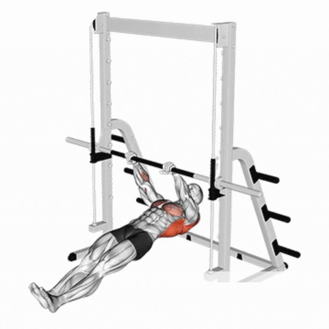 Inverted Row