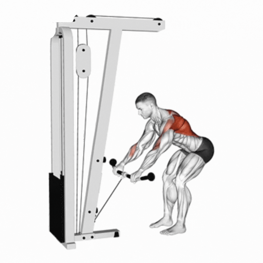Cable Bent Over Row