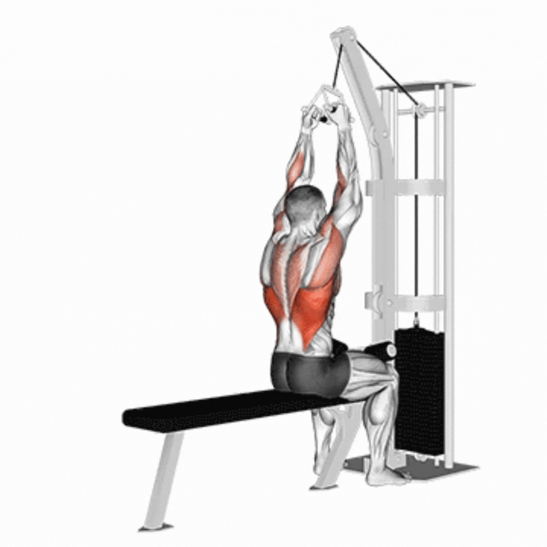 Close Grip Lat Pulldown