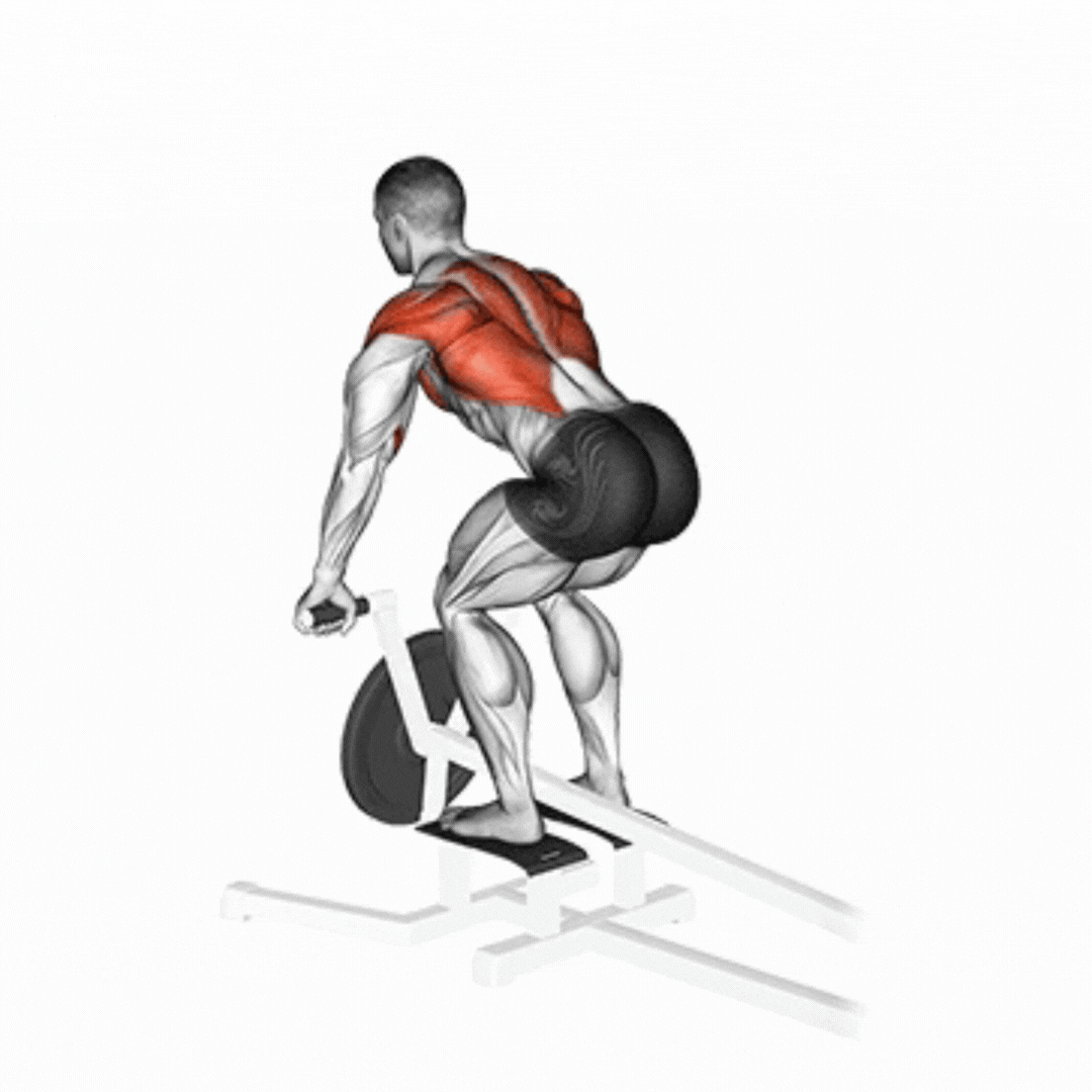 Lever T-Bar Row