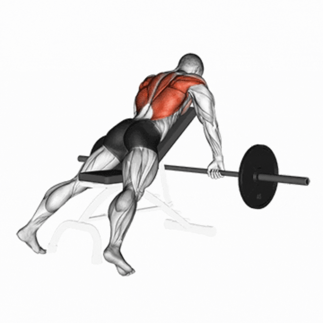Incline Barbell Row