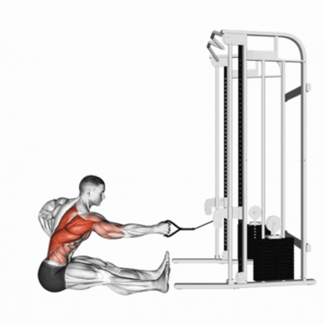 Single Arm Twisting Seated Cable Row