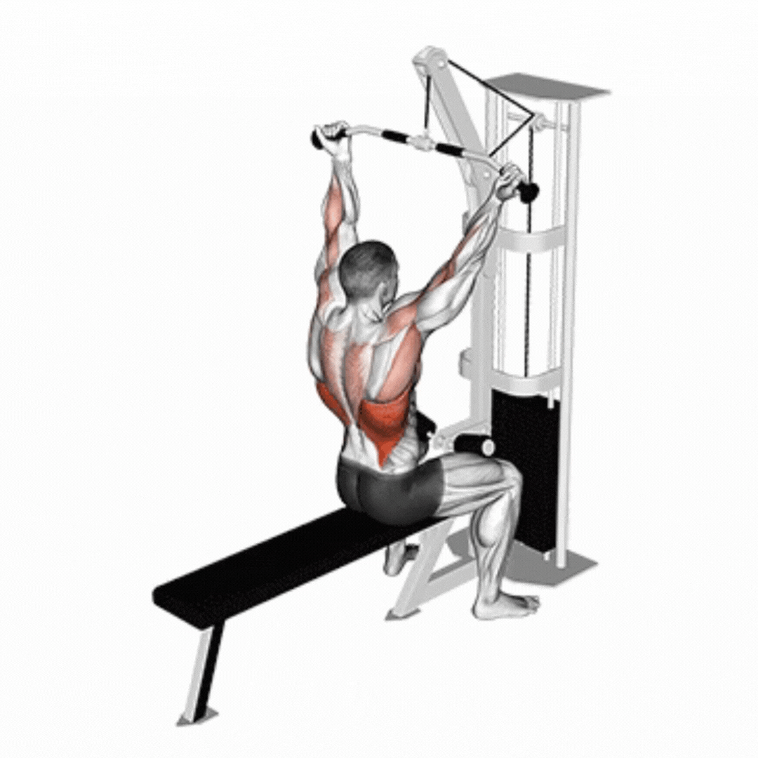 Reverse Grip Lat Pulldown