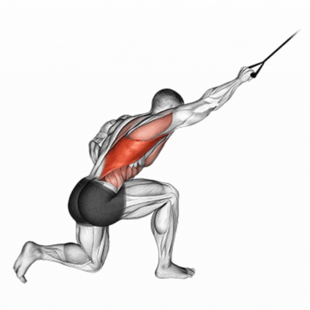 Half Kneeling Lat Pulldown