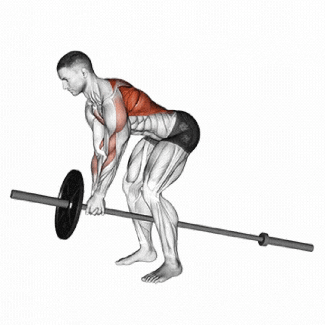 T-Bar Row