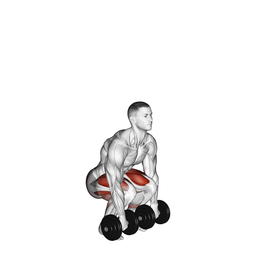 Dumbbell Deadlift