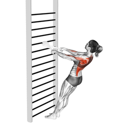 Bodyweight Towel Row
