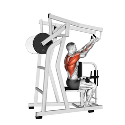 High Row Reverse Grip