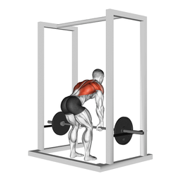 Power Rack Row