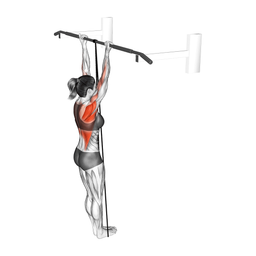 Resistance Band Assisted Chin Up