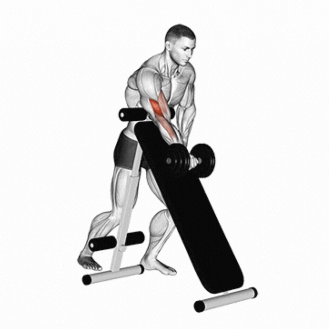 One Arm Dumbbell Bicep Curl