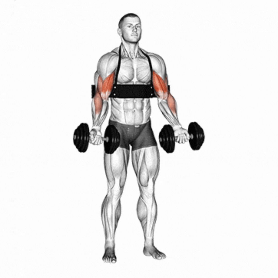 Barbell Curl On Arm Blaster