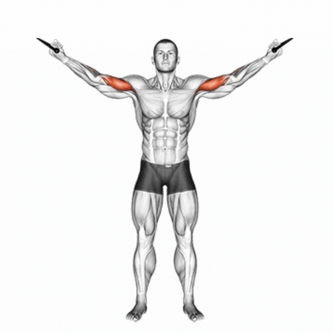 Overhead Cable Curl