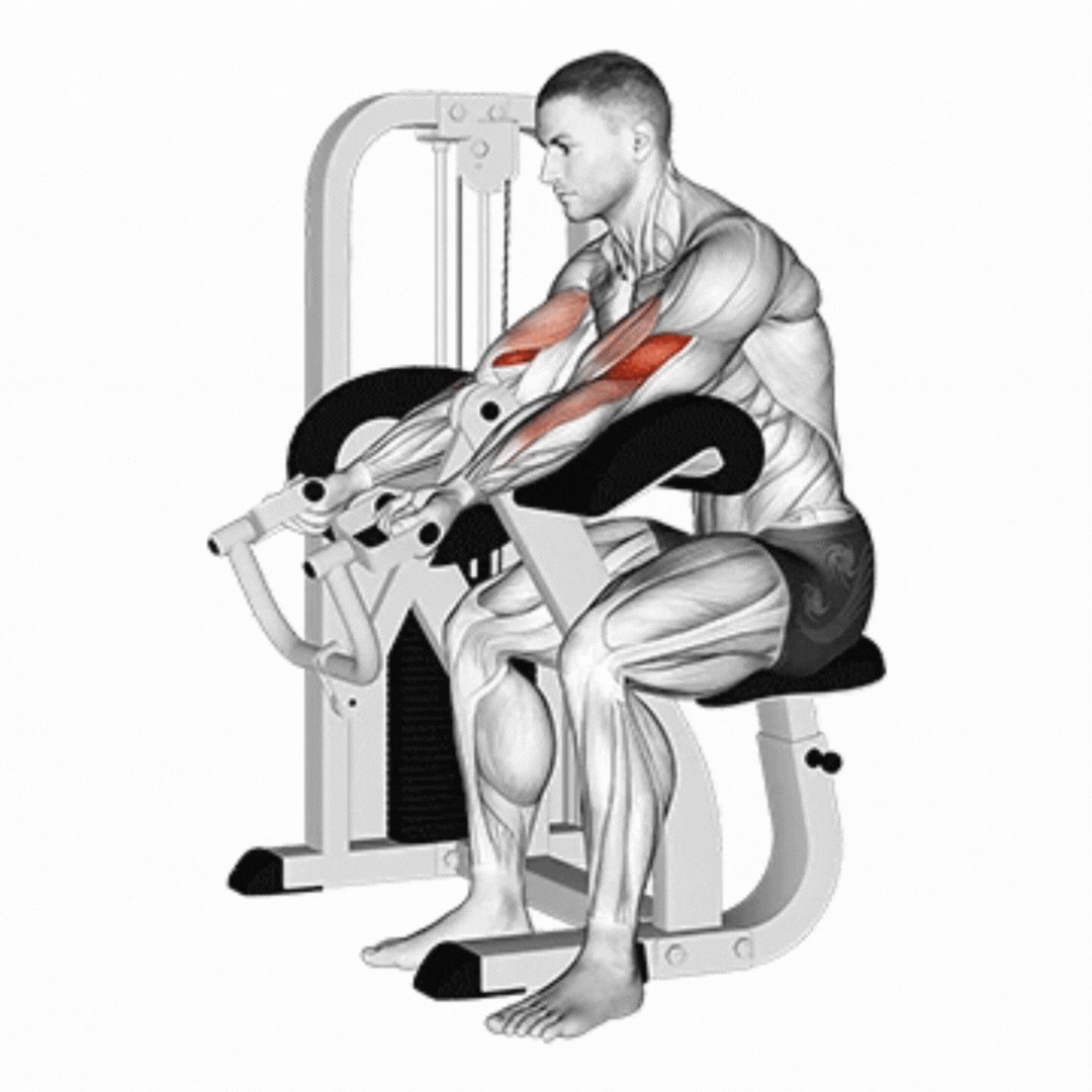 Lever Hammer Curl Machine