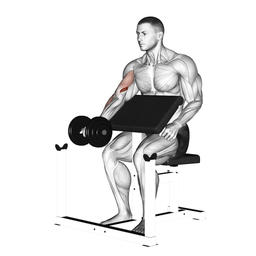 One-Arm Dumbbell Scott Curl