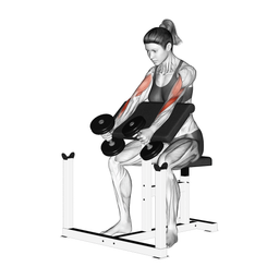 Dumbbell Preacher Hammer Curl