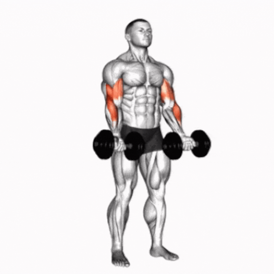 Dumbbell Zottman Curl