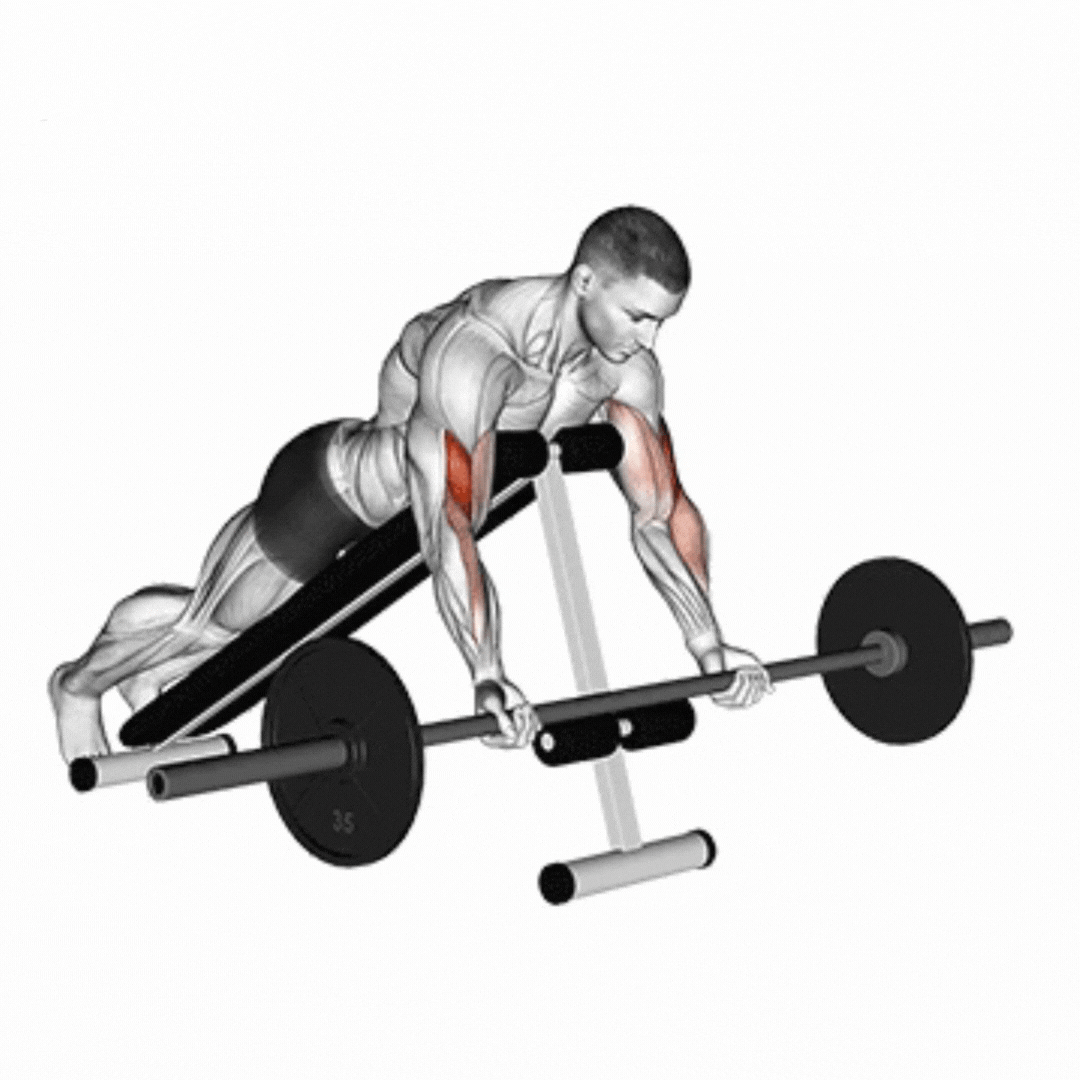 EZ-Bar Spider Curl