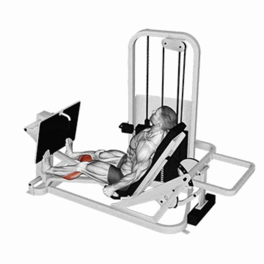 Seated Calf Press on Leg Press Machine