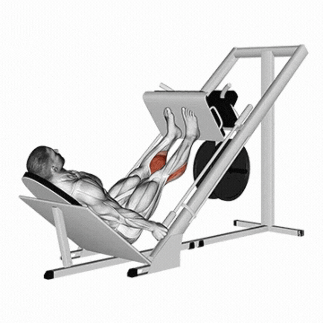 Leg Press Calf Raise