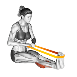 Band Calf Flexion