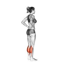 Heel Raises