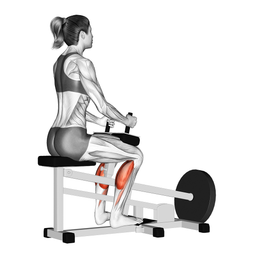 Seated Calf Raise