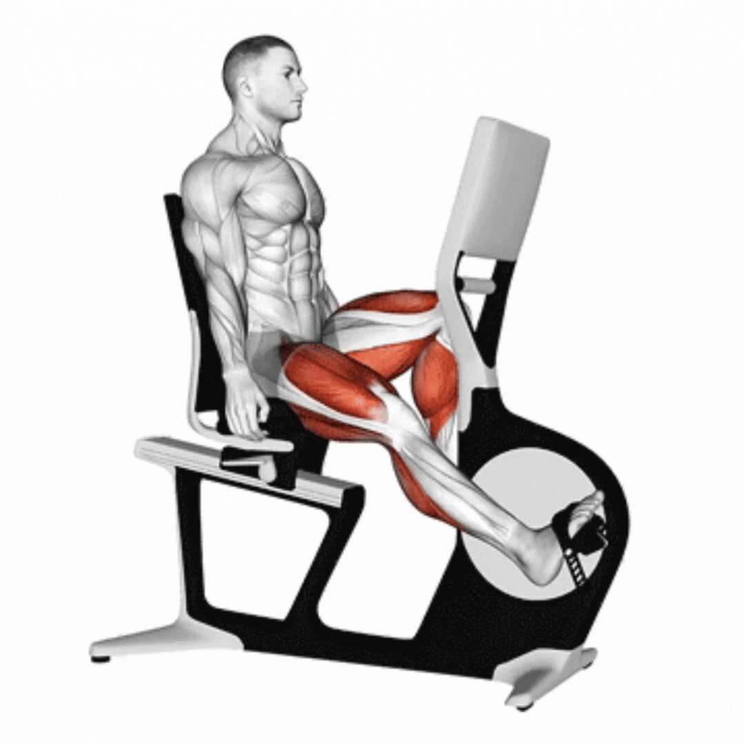 Recumbent Exercise Bike