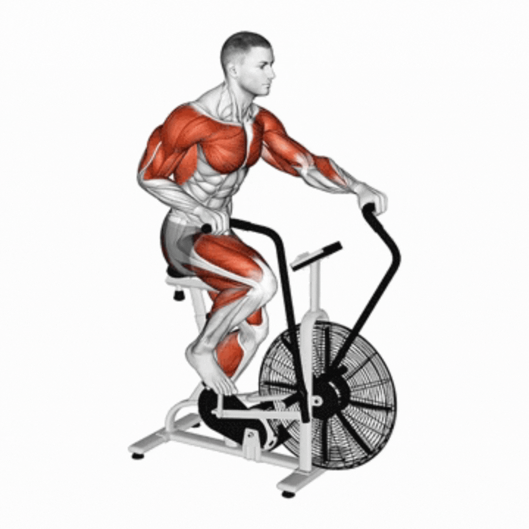 Assault AirBike