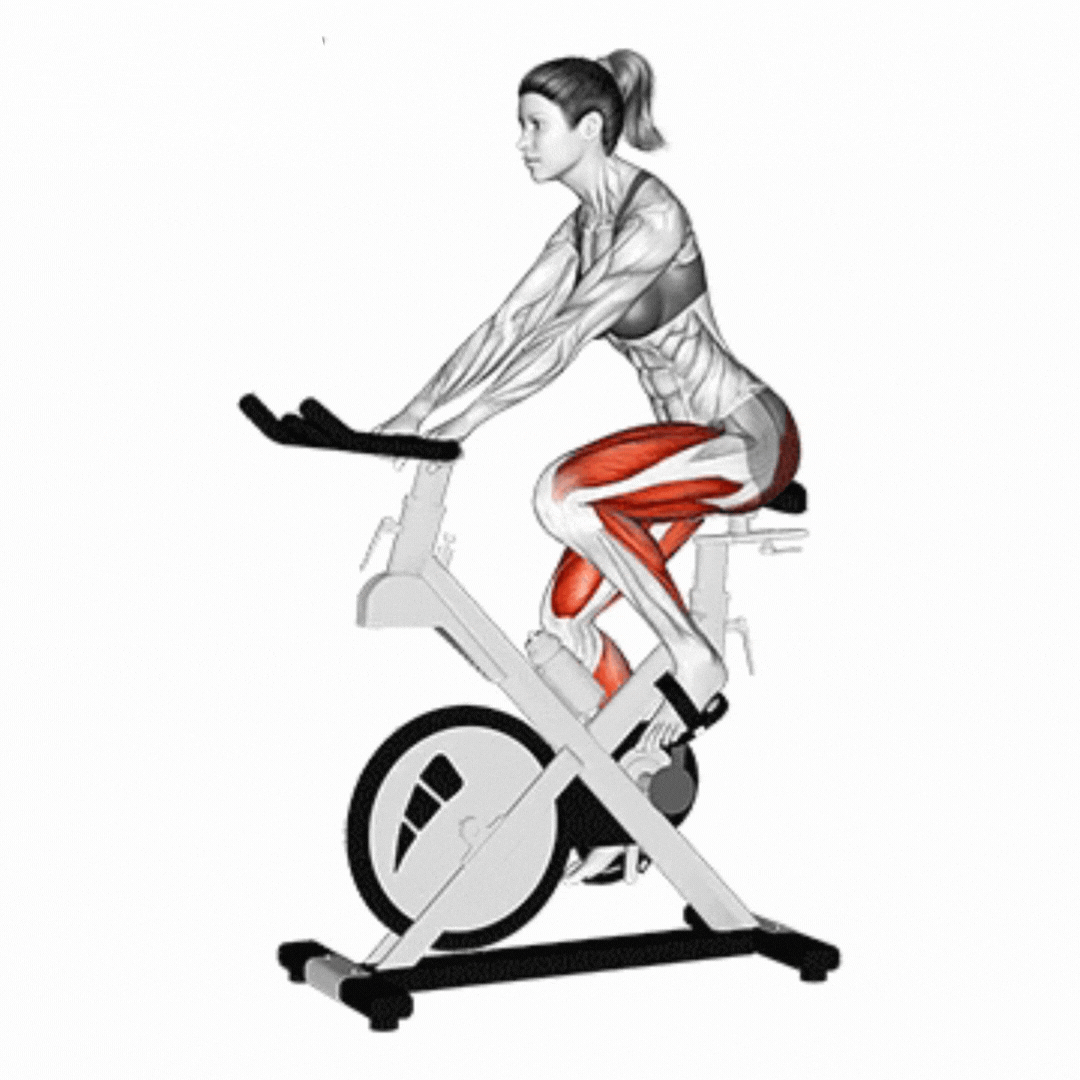 Bike for Aerobic Workout