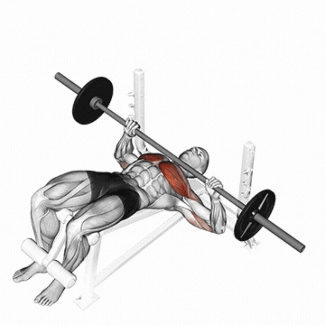 Barbell Decline Bench Press