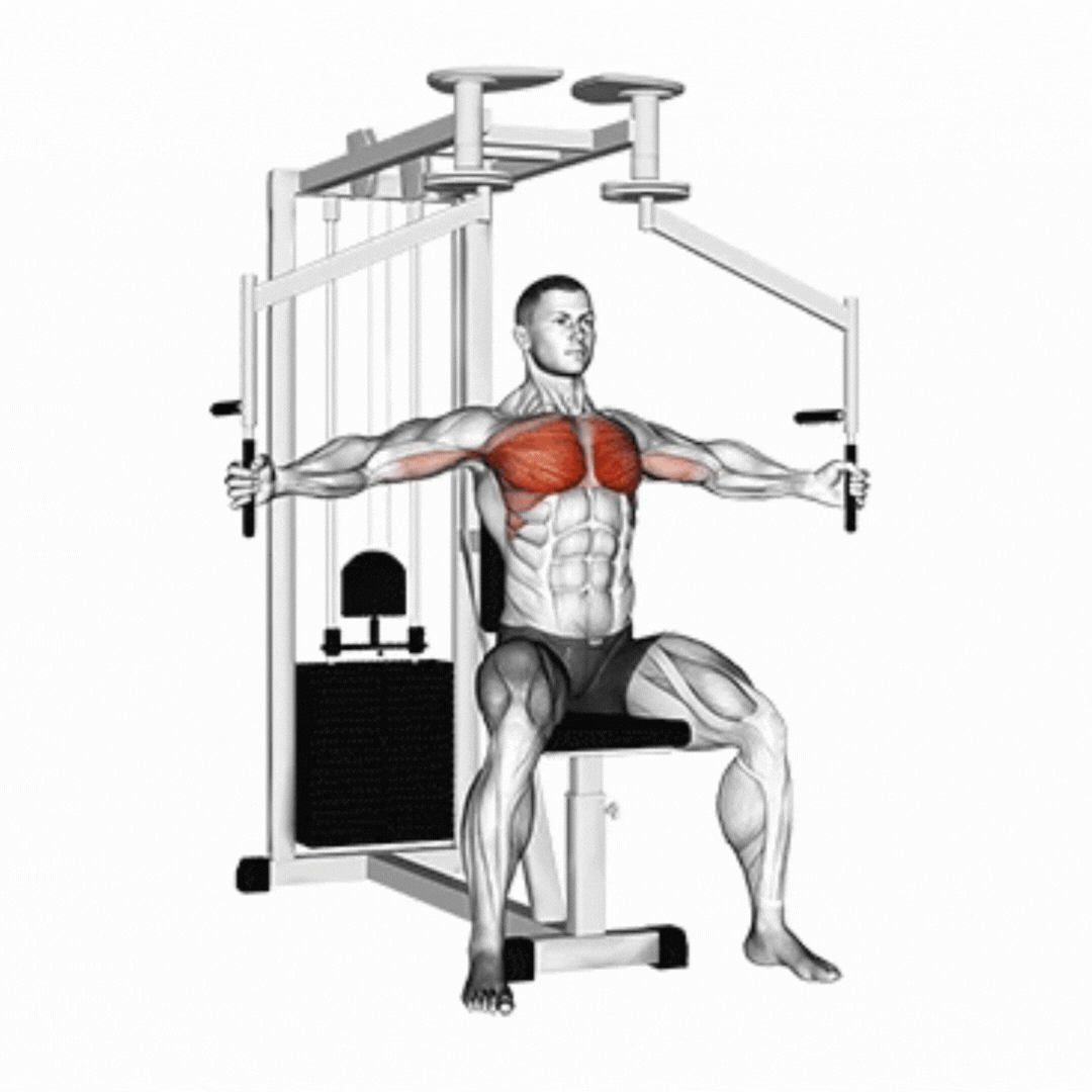 Lever Seated Fly