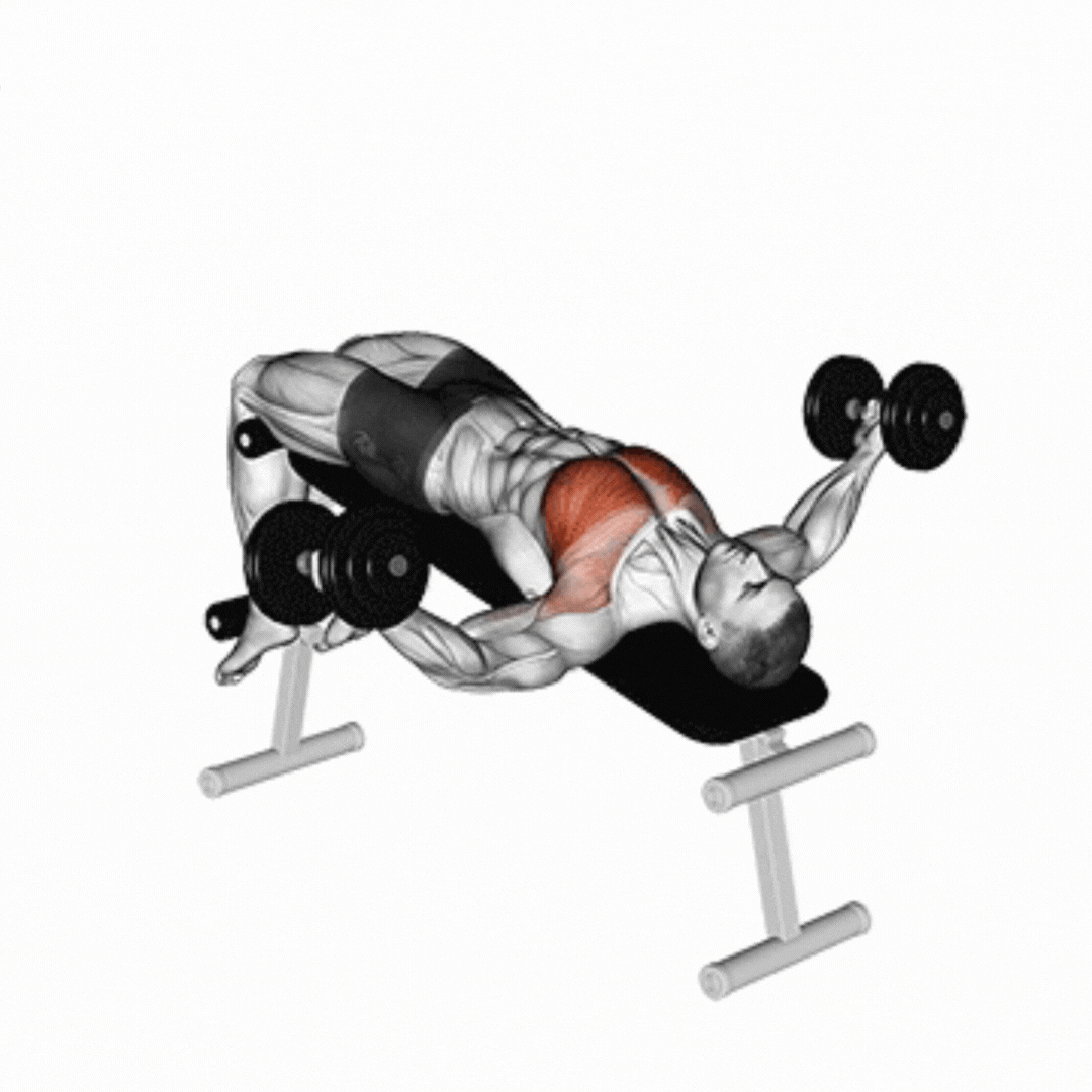 Decline Dumbbell Fly