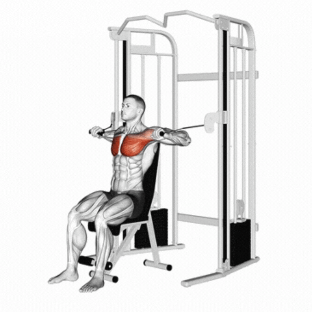 Seated Cable Chest Press