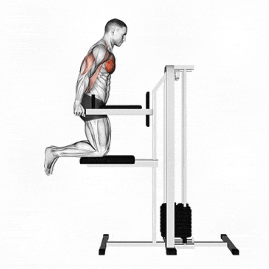 Assisted Chest Dips