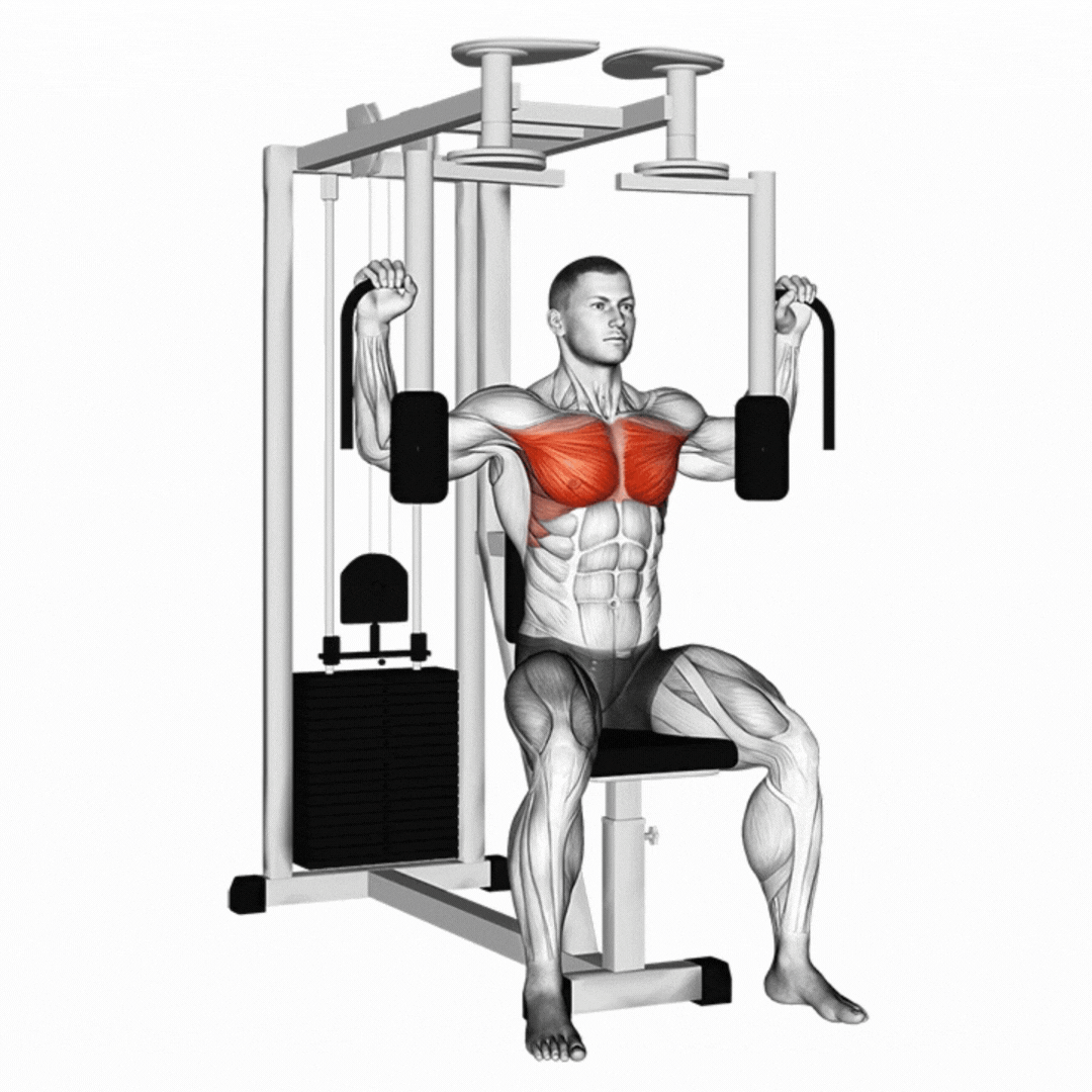 Pec Deck