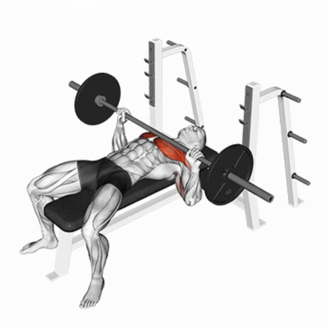 Barbell Bench Press