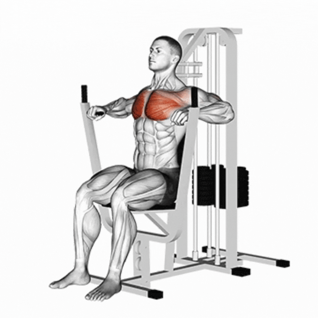 Chest Press Machine