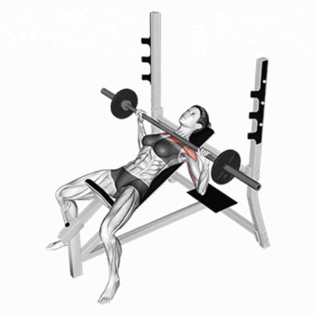 Barbell Incline Bench Press